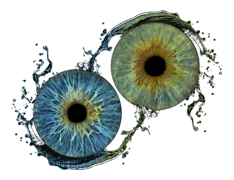 A glacial blue iris and a honey-gold iris circled by fine threads of water